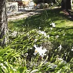 Terre Di Εξοχικό σπίτι *