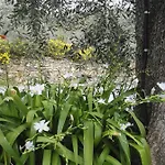 Terre Di Εξοχικό σπίτι Garlenda