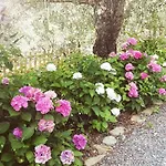 Terre Di Εξοχικό σπίτι