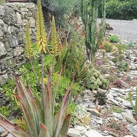 Terre Di 加尔伦达