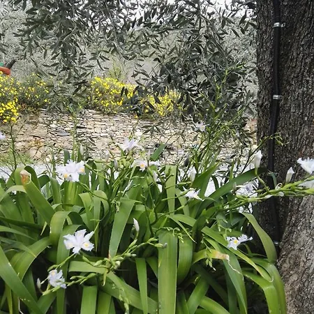 Terre Di Kır Evi Garlenda