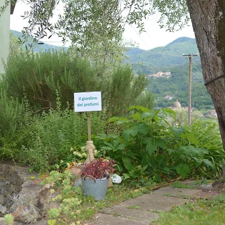 Kır Evi Terre Di