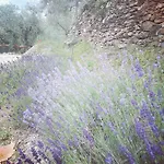 Terre Di