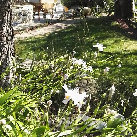 Terre Di Casa rural *