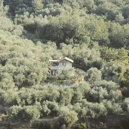 Terre Di