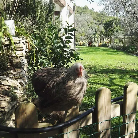 Casa rural Terre Di