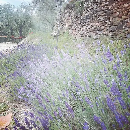 Terre Di