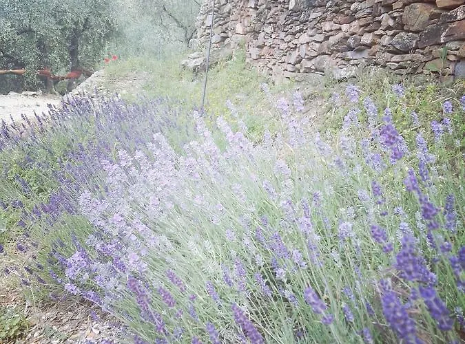 Terre Di